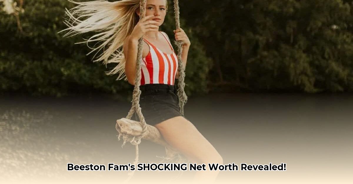 the-beeston-fam-net-worth